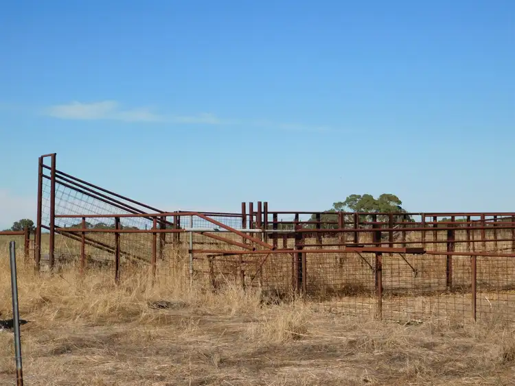 Sixth view of Homely rural property listing, Lot 3 Golf Course Road, Bordertown SA 5268