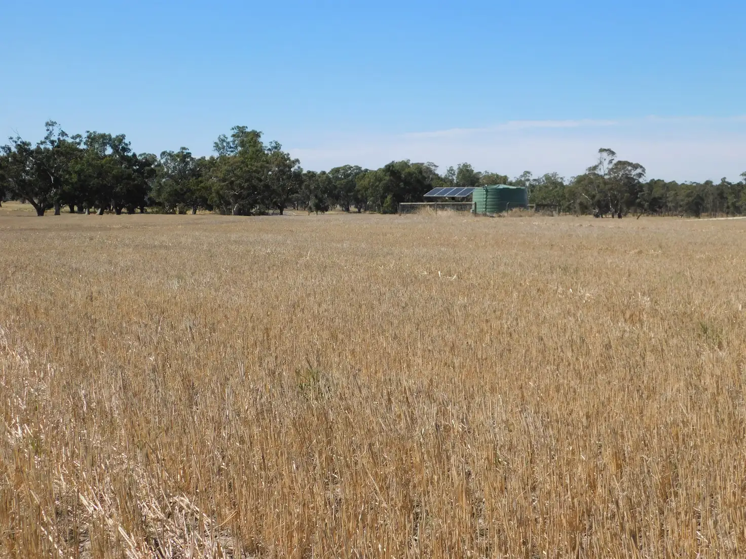 Main view of Homely rural property listing, Lot 30 - 433 Golf Course Road, Bordertown SA 5268