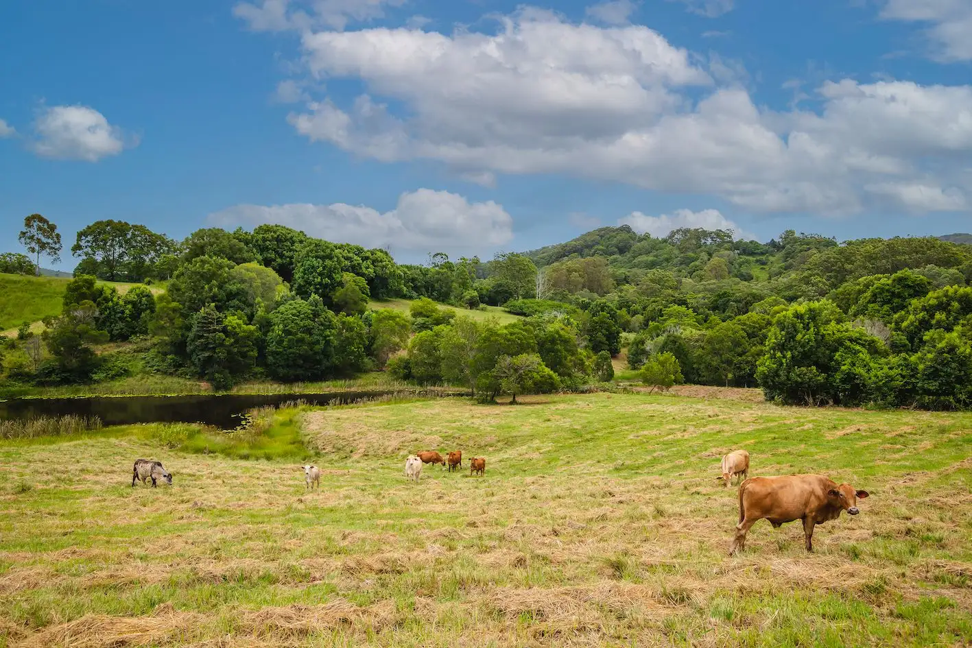 Main view of Homely land listing, 216 Western Branch Road, Kin Kin QLD 4571