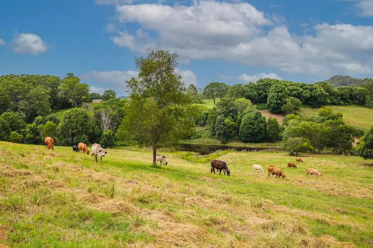 Fifth view of Homely land listing, 216 Western Branch Road, Kin Kin QLD 4571