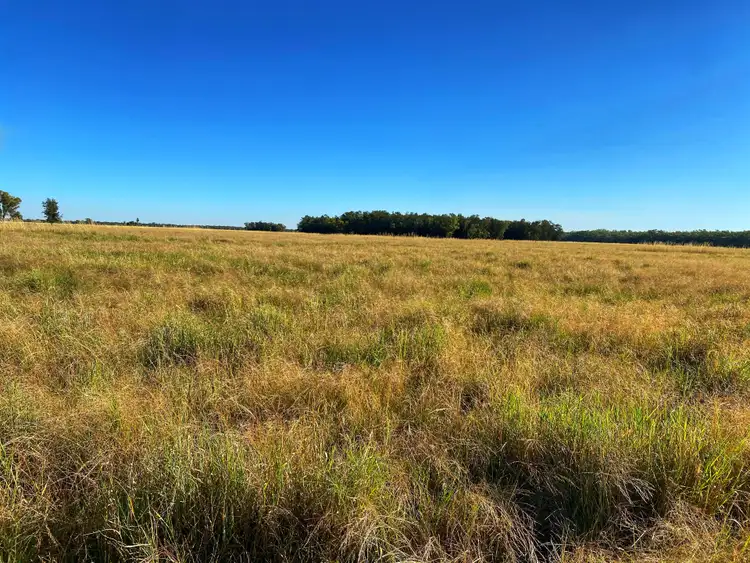 Fourth view of Homely rural property listing, Nerokewa 79 Reakes Road, Condobolin NSW 2877