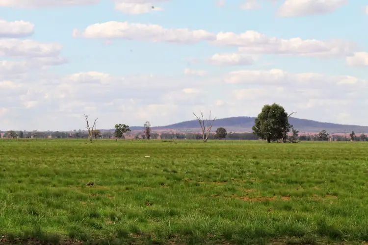 Seventh view of Homely rural property listing, Nerokewa 79 Reakes Road, Condobolin NSW 2877