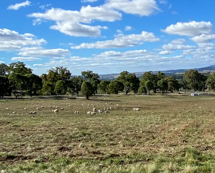 Fifth view of Homely rural property listing, 1823 O'Connell Road, O'connell NSW 2795