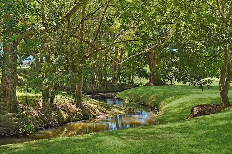 675 Clothiers Creek Road, Clothiers Creek NSW 2484