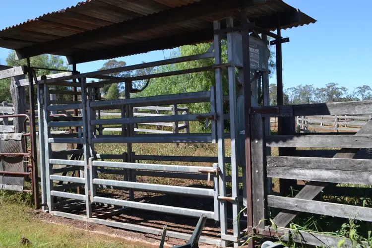 Sixth view of Homely rural property listing, 4254 Oakey Cooyar Road, Highgrove QLD 4352