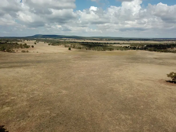 Third view of Homely rural property listing, 918 The Springs Road, Rankins Springs NSW 2669