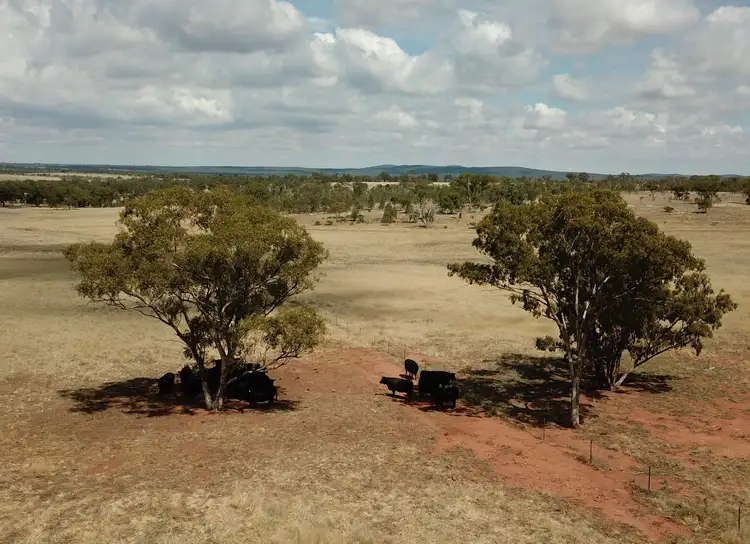 Fourth view of Homely rural property listing, 918 The Springs Road, Rankins Springs NSW 2669