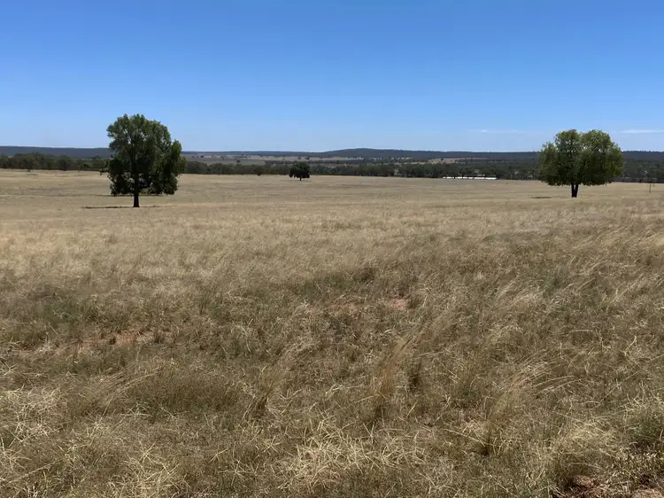 Fifth view of Homely rural property listing, 918 The Springs Road, Rankins Springs NSW 2669