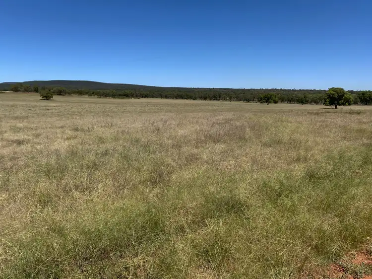 Sixth view of Homely rural property listing, 918 The Springs Road, Rankins Springs NSW 2669