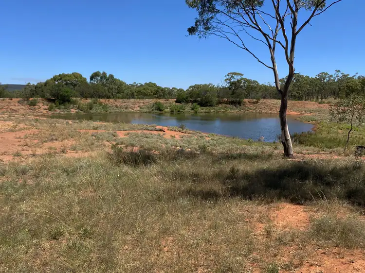 Seventh view of Homely rural property listing, 918 The Springs Road, Rankins Springs NSW 2669