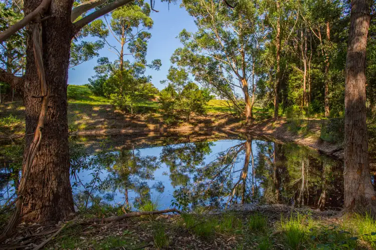 1110 Illaroo Road, Tapitallee NSW 2540