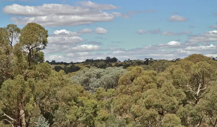 Second view of Homely land listing, 476 Spring Flat Road, Heathcote VIC 3523