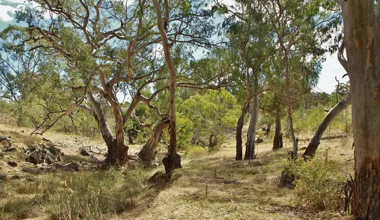 Fifth view of Homely land listing, 476 Spring Flat Road, Heathcote VIC 3523