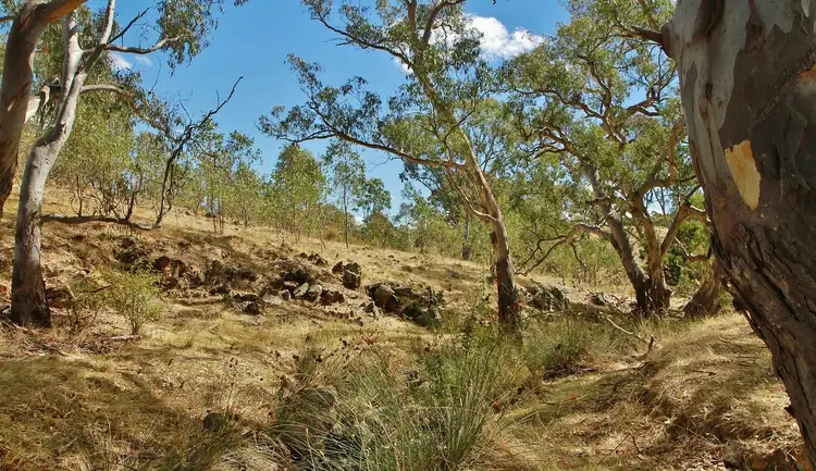 Seventh view of Homely land listing, 476 Spring Flat Road, Heathcote VIC 3523