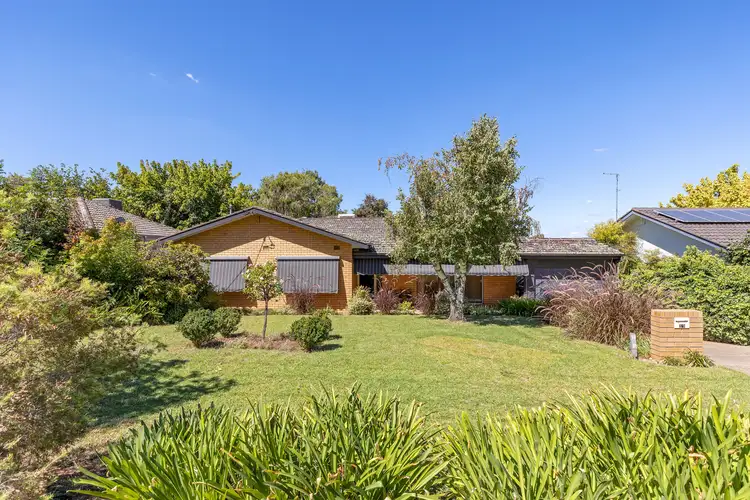 19 Wilks Avenue, Kooringal NSW 2650