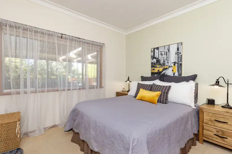 Sixth view of Homely house listing, 19 Wilks Avenue, Kooringal NSW 2650