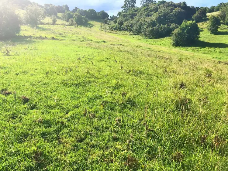 Fourth view of Homely land listing, 1097 Deer Vale Road, Deer Vale, Dorrigo NSW 2453