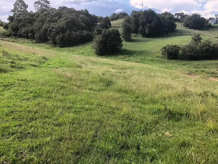 Fifth view of Homely land listing, 1097 Deer Vale Road, Deer Vale, Dorrigo NSW 2453