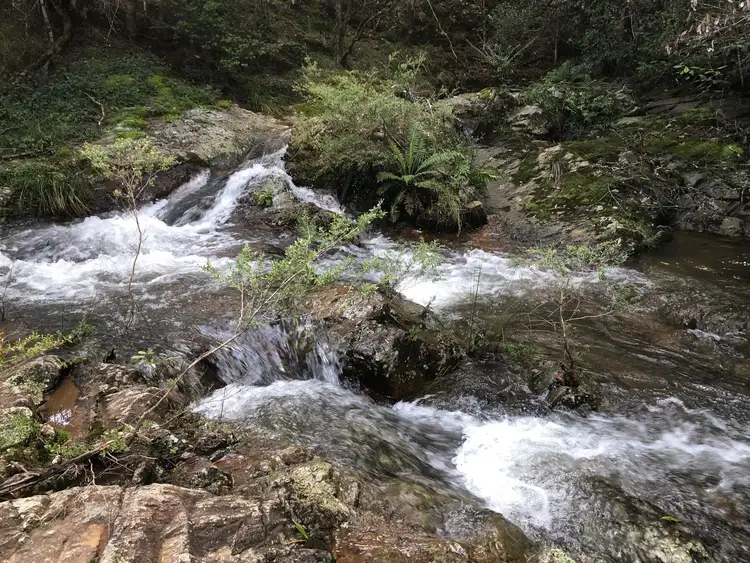 Seventh view of Homely land listing, 1097 Deer Vale Road, Deer Vale, Dorrigo NSW 2453