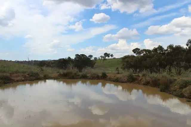 Sixth view of Homely rural property listing, 2521 Beaconsfield Road, Wisemans Creek NSW 2795