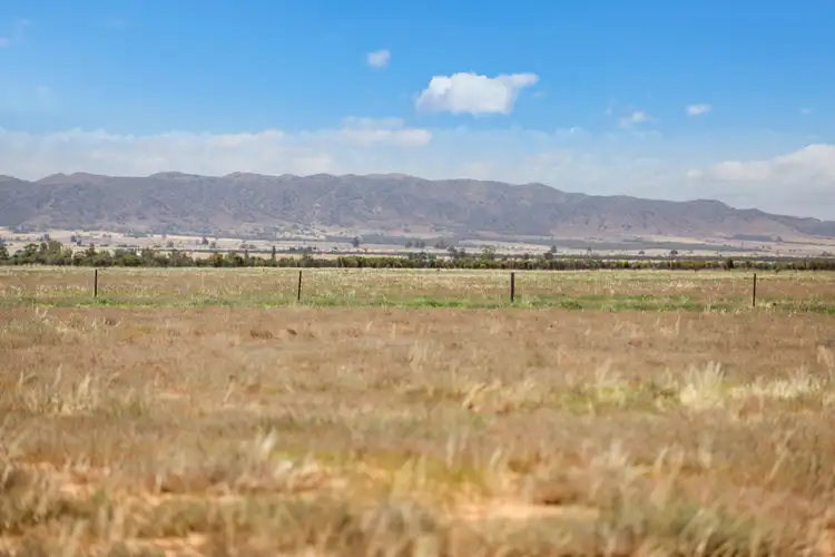 Second view of Homely rural property listing, Lot 1 Minburra Road, Orroroo SA 5431