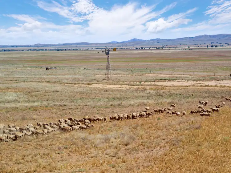 Third view of Homely rural property listing, Lot 1 Minburra Road, Orroroo SA 5431