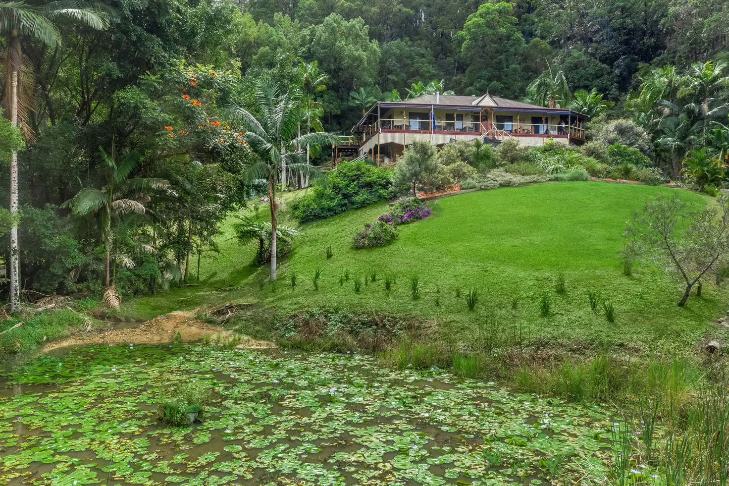 Main view of Homely rural property listing, 1255 Urliup Road, Urliup NSW 2484
