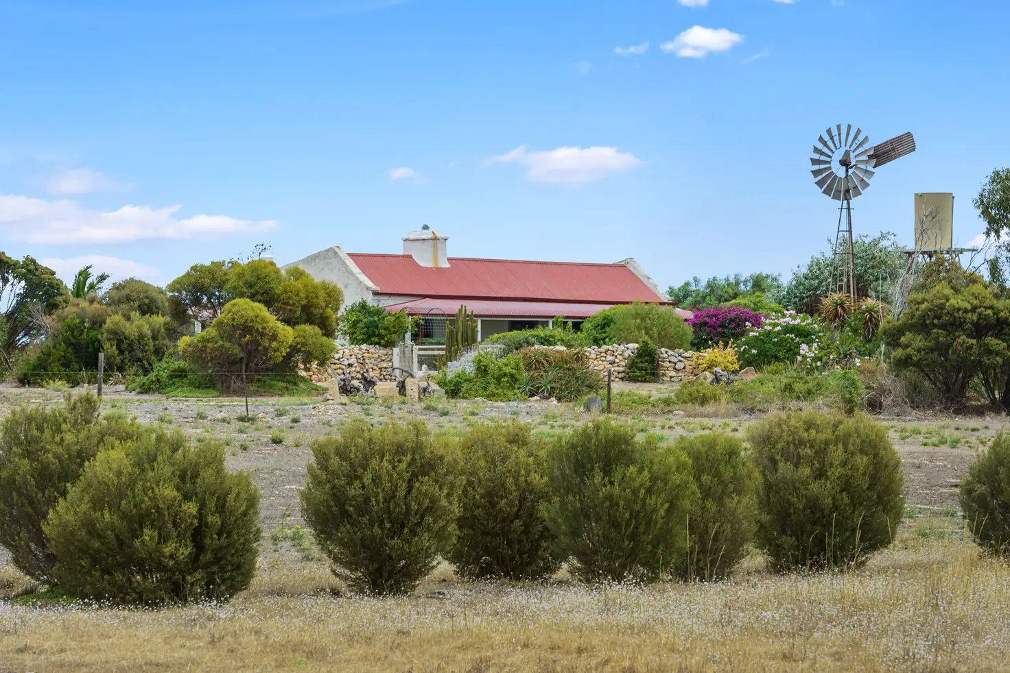 Main view of Homely house listing, 3378 Corny Point Road, Warooka SA 5577