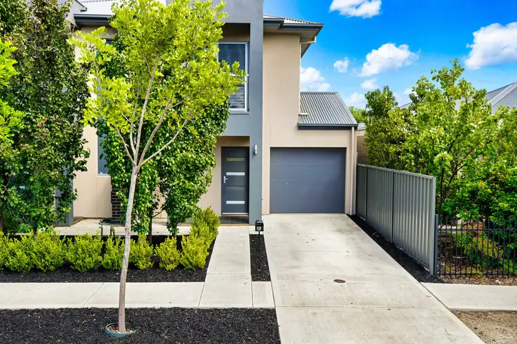16 Walter Avenue, Mitchell Park SA 5043