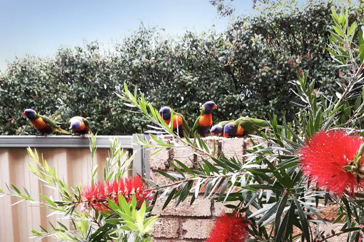 Second view of Homely townhouse listing, 1/35 Clancy Street, Padstow Heights NSW 2211