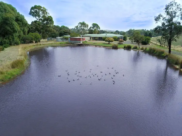 Second view of Homely house listing, 10 Broadford-Wandong Road, Wandong VIC 3758