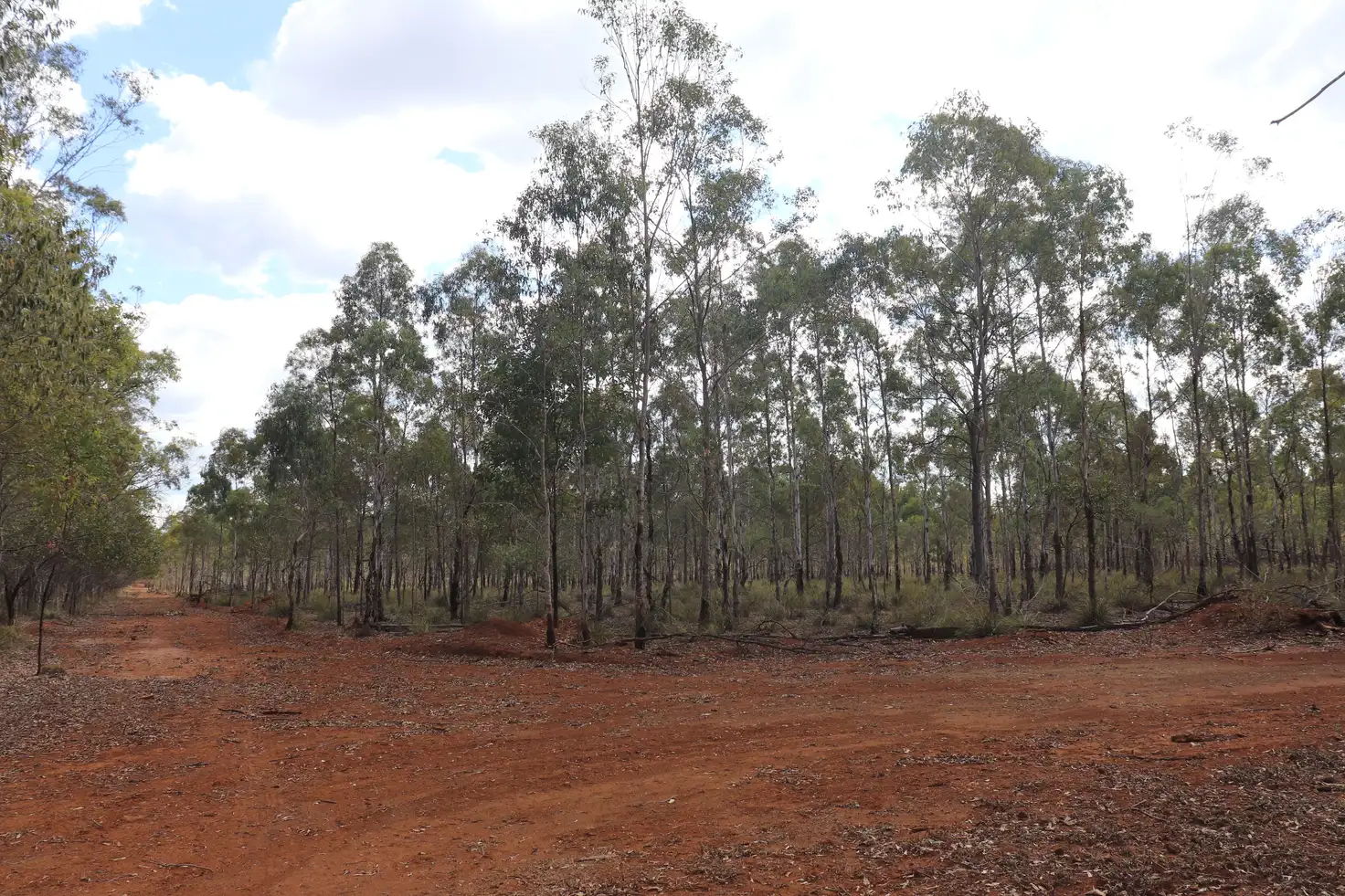 Main view of Homely rural property listing, 'Lee' Lot 39 Farmers Rd, Abbeywood, Proston QLD 4613
