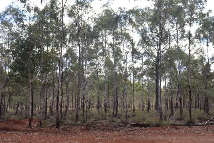 Second view of Homely rural property listing, 'Lee' Lot 39 Farmers Rd, Abbeywood, Proston QLD 4613