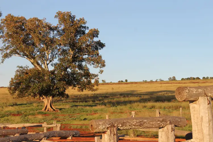 Main view of Homely rural property listing, 'Andress' Murrays Road, Coolabunia, Kingaroy QLD 4610