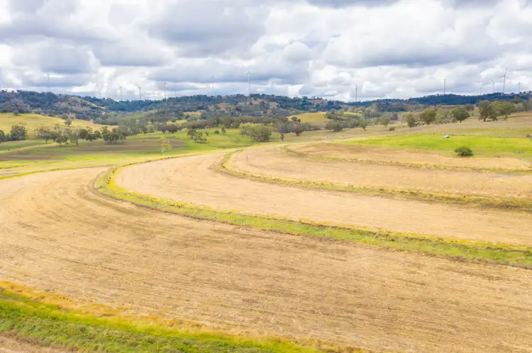 Fifth view of Homely rural property listing, 3112 Gwydir Highway, Glen Innes NSW 2370