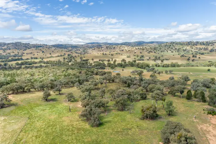 Fifth view of Homely rural property listing, 3705 Frogmore Road (Hovells Creek), Cowra NSW 2794