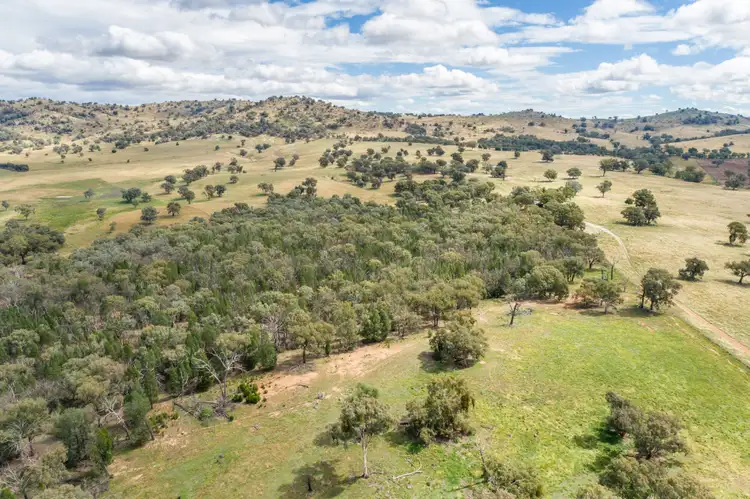 Seventh view of Homely rural property listing, 3705 Frogmore Road (Hovells Creek), Cowra NSW 2794