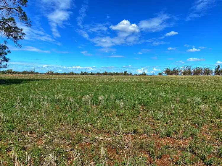 Fourth view of Homely rural property listing, * Croydon, Avondale & Part Springfield, Tottenham NSW 2873