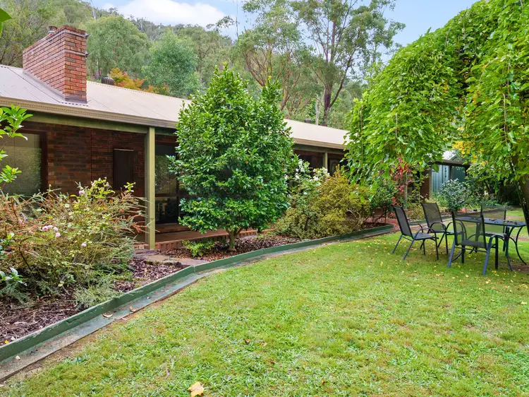 Main view of Homely house listing, 419 Buffalo River Road, Myrtleford VIC 3737