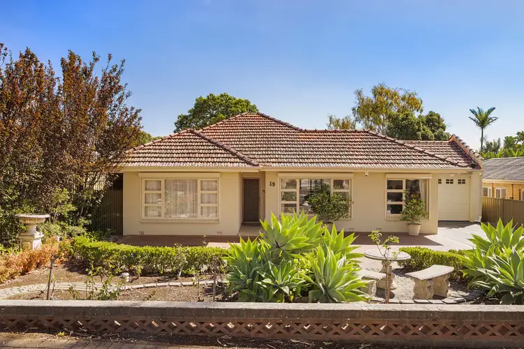 19 Edgcumbe Terrace, Rosslyn Park SA 5072