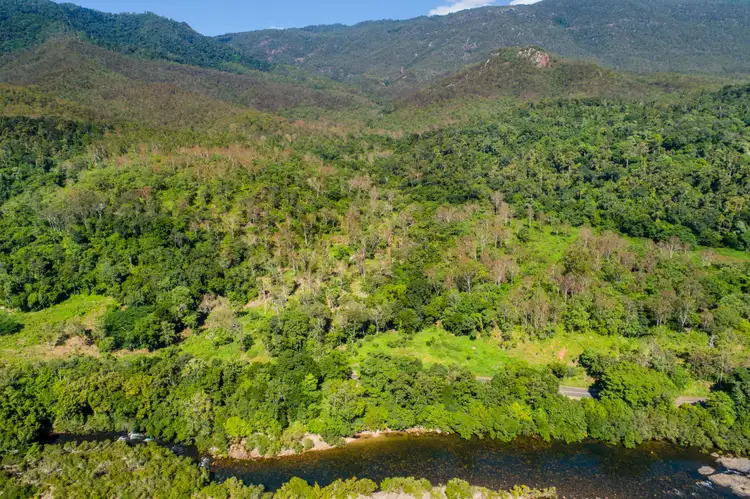Second view of Homely land listing, 874 Goldsborough Road, Goldsborough QLD 4865