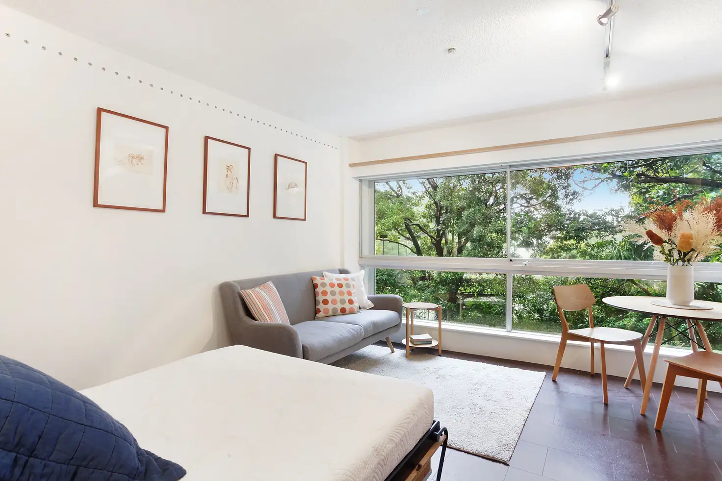 Main view of Homely studio listing, 23/50-56 Roslyn Gardens, Rushcutters Bay NSW 2011