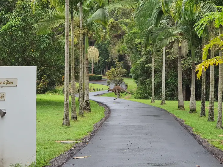 6 Sawreys Road, Forest Glen QLD 4556
