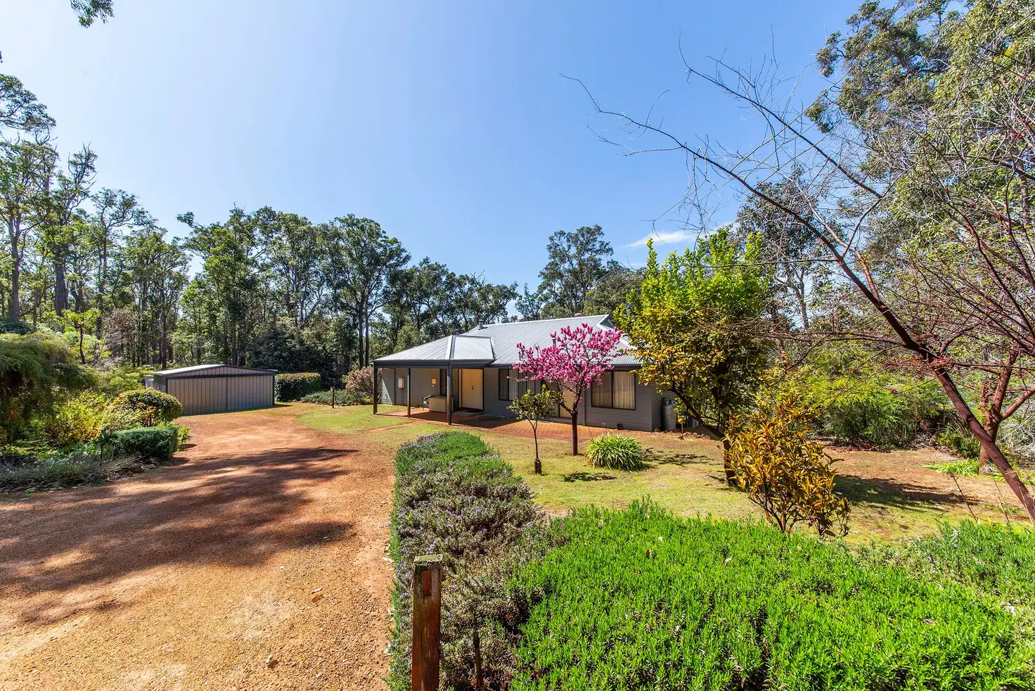 Main view of Homely house listing, 219 Leschenaultia Drive, Nannup WA 6275