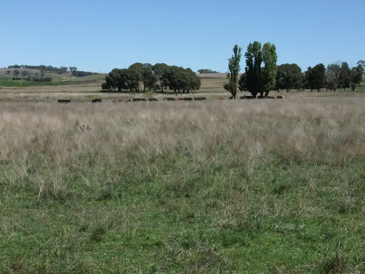 Second view of Homely rural property listing, 223 Marshalls Lane, Blayney NSW 2799