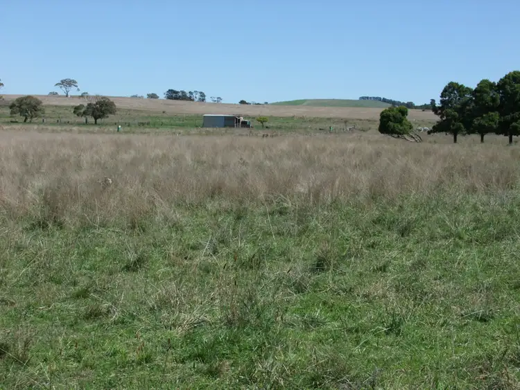 Third view of Homely rural property listing, 223 Marshalls Lane, Blayney NSW 2799