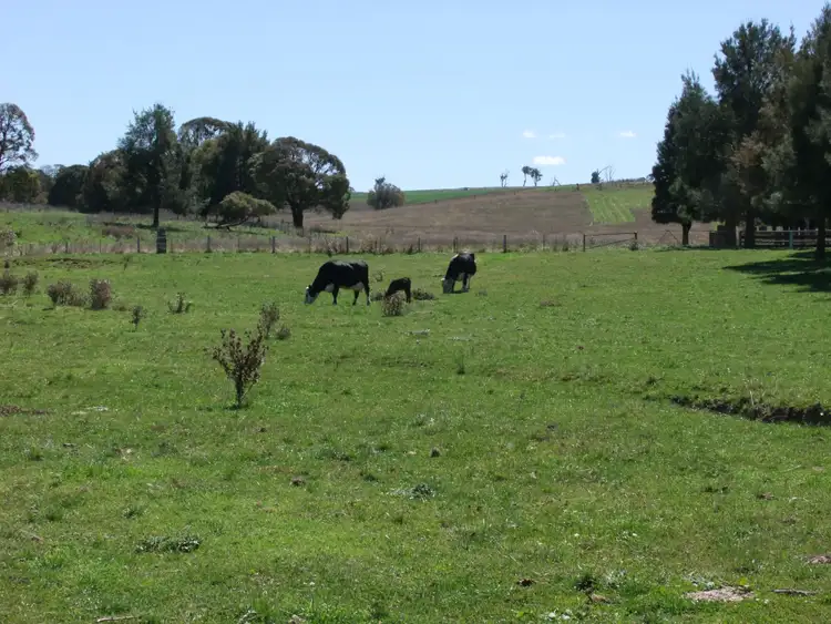 Fourth view of Homely rural property listing, 223 Marshalls Lane, Blayney NSW 2799