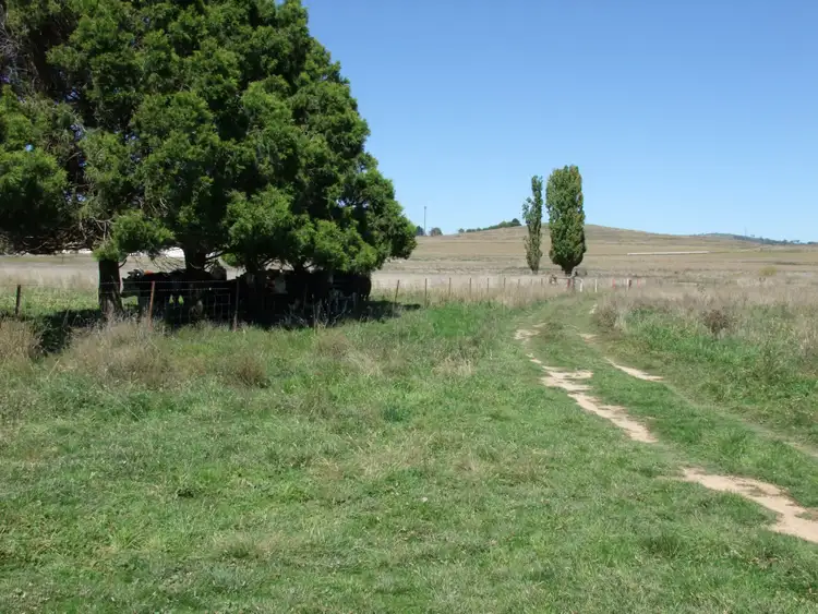 Fifth view of Homely rural property listing, 223 Marshalls Lane, Blayney NSW 2799