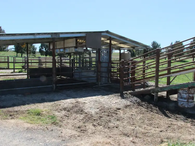 Sixth view of Homely rural property listing, 223 Marshalls Lane, Blayney NSW 2799