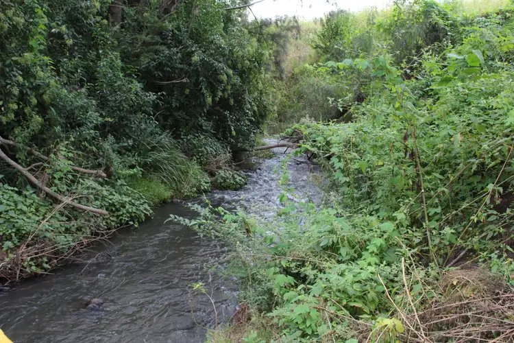 Fifth view of Homely rural property listing, 0 Brosnan Road, Killarney QLD 4373